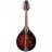 Mandoline Bluegrass M50E