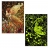 Master Pieces <a title='En savoir plus sur les puzzles' href='http://weezoom.tumblr.com/post/12566332776/puzzle-1000-pieces' style='text-decoration:none; color:#333' target='_blank'><strong>Puzzle</strong></a> 500 pièces - Fantasy nocturne : Lily