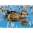 MB Jeux Puzzle 500 pièces - Canard sur l'eau