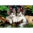 MB Jeux <a title='En savoir plus sur les puzzles' href='http://weezoom.tumblr.com/post/12566332776/puzzle-1000-pieces' style='text-decoration:none; color:#333' target='_blank'><strong>Puzzle</strong></a> 500 pièces - Chatons sur la branche