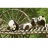 MB Jeux <a title='En savoir plus sur les puzzles' href='http://weezoom.tumblr.com/post/12566332776/puzzle-1000-pieces' style='text-decoration:none; color:#333' target='_blank'><strong>Puzzle</strong></a> 500 pièces - Pandas