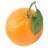 Oranges de Table Bio
