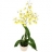 Orchidées du<a title='composition florale pour la saint-valentin' href='http://www.familyby.com/boutiques/detailCategorie/4211' style='text-decoration:none; color:#333'><strong> fleur</strong></a>iste Oncidium jaune