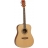 Pack Acoustic Dreadnought