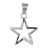 Pendentif etoile argent