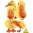 Piatnik Puzzle 100 pièces - Hana Deka : Canards