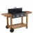 Plancha barbecue COOK'IN GARDEN PUERTA PLATA 3 Titane - BG 313 WTI