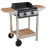 Plancha COOK'IN GARDEN 2 bruleurs LUNA 2 Titane - BG312 PTWTI