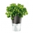 Pot à plantes aromatiques anthracite