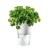 Pot à plantes aromatiques blanc