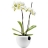 Pot blanc à orchidée