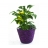 Pot conique petit modéle PRUNE