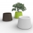 Pot couleur Sardana