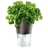 Pot de<a title='composition florale pour la saint-valentin' href='http://www.familyby.com/boutiques/detailCategorie/4211' style='text-decoration:none; color:#333'><strong> fleur</strong></a> magique Eva Solo gris