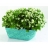 Pot rectangulaire de jardin TURQUOISE