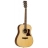 Premier Dreadnought 115ST