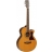 Premier Folk 145SC
