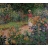 Puzzle Michèle Wilson Puzzle d'art en bois 150 pièces Michèle Wilson - Monet : Le Jardin de Monet