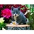 Ravensburger Puzzle 1500 pièces - J'aime les fleurs