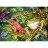 Ravensburger <a title='En savoir plus sur les puzzles' href='http://weezoom.tumblr.com/post/12566332776/puzzle-1000-pieces' style='text-decoration:none; color:#333' target='_blank'><strong>Puzzle</strong></a> 35 pièces - Grenouilles tropicales