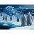 Ravensburger Puzzle 500 pièces - Schimmel : Enfants de l'Antarctique
