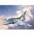 Revell Dassault Mirage 2000 C Tigermeet