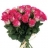 Roses Elégance : 50 cm Bouquet de roses Alter ego