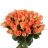 Roses Elégance: 50 cm Bouquet de roses Amazone