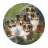 Schmidt Spiele Puzzle 1000 pièces - Puzzle rond : Famille de chiens