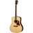 Songwriter Deluxe Custom