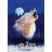 Spiel Spass Puzzle 1000 pièces - Mystery : Le cri du loup