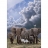 Spiel Spass Puzzle 1000 pièces - Schimmel : La terre des éléphants