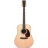 Standard Series D-41