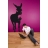 Stickers Ane