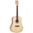 Sundance Dreadnought Massif 15FMP