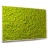 Tableau végétal design Kandigreen Maxi 113 cm