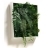 Tableau végétal design Picagreen 40 cm Couleur Vert