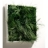 Tableau végétal design Vangreen 40 cm