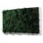 Tableau végétal design Vangreen Maxi 113 cm