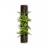 Tableau végétal tube 40cm Chocolat