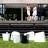 Tabouret empilable Tribe, indoor outdoor, XL Design