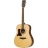 Tanglewood Premier Dreadnought 115ST/LH