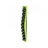 Présentoir dosettes Nespresso TAVOLA SWISS Nespresso Wave vert