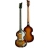 Violon