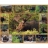 White Mountain Puzzles Puzzle 1000 pièces - Elans sauvages