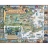 White Mountain Puzzles Puzzle 1000 pièces - L'histoire du Massachusetts, USA