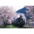 Yanoman <a title='En savoir plus sur les puzzles' href='http://weezoom.tumblr.com/post/12566332776/puzzle-1000-pieces' style='text-decoration:none; color:#333' target='_blank'><strong>Puzzle</strong></a> 1000 pièces - Train entre les arbres