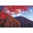 Yanoman <a title='En savoir plus sur les puzzles' href='http://weezoom.tumblr.com/post/12566332776/puzzle-1000-pieces' style='text-decoration:none; color:#333' target='_blank'><strong>Puzzle</strong></a> 1500 pièces - Japon : Couleurs d'automne