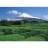 Yanoman <a title='En savoir plus sur les puzzles' href='http://weezoom.tumblr.com/post/12566332776/puzzle-1000-pieces' style='text-decoration:none; color:#333' target='_blank'><strong>Puzzle</strong></a> 500 pièces - Mont Fuji : Plantation de thé