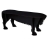 Zelda Table basse chien Ibride